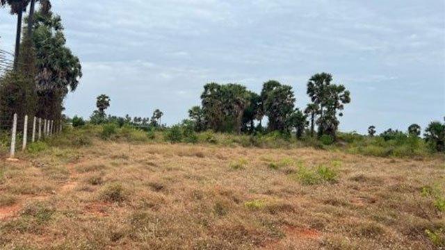 Cabinet approves special measures to prevent land grabbing in Eastern Province