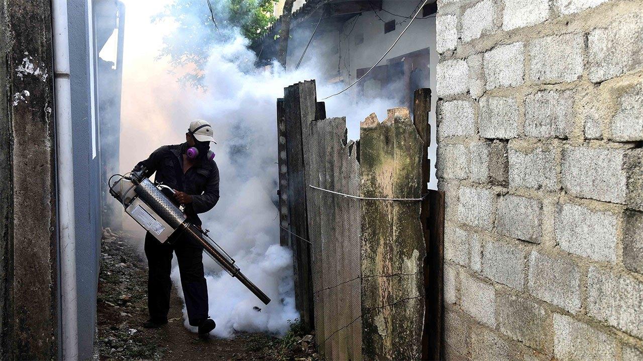 Dengue cases reach 50,459 in Sri Lanka as death toll hits 30