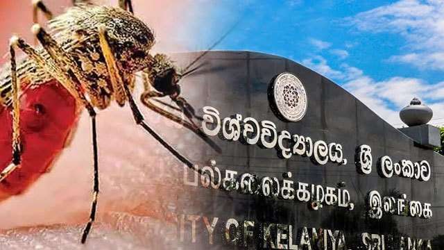 Universities may be closed if dengue clusters reported - Deputy Minister