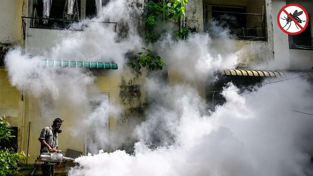Three dengue deaths reported in 24 hours as total fatalities this year rise to 53