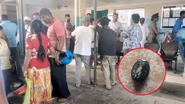 22 students hospitalised after consuming poisonous seeds in Kantale