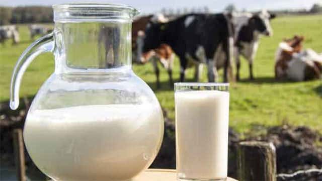 Sri Lanka produces only 43% of daily milk requirement locally: Dy Minister