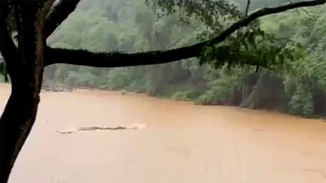 Minor flood warning issued for low-lying areas along Mahaweli River