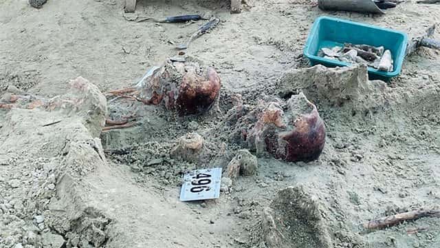 Chemmani mass grave: Human remains of over 500 persons excavated from single site for first time