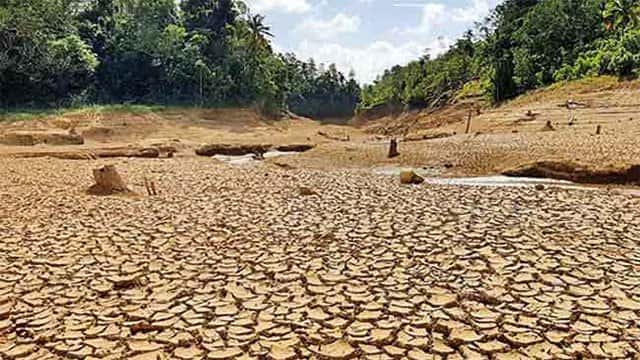Dry weather conditions leave farmers in several provinces in distress