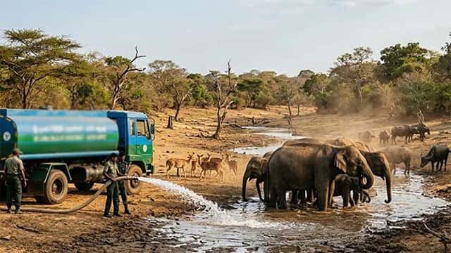 Wildlife Dept. deploys water bowsers to drought-hit national parks