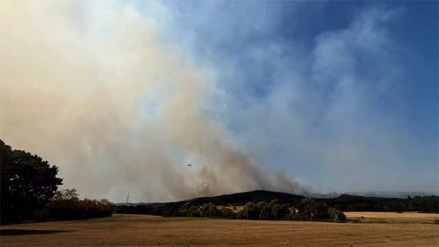 Germany evacuates about 2,000 people as wildfire reaches western village