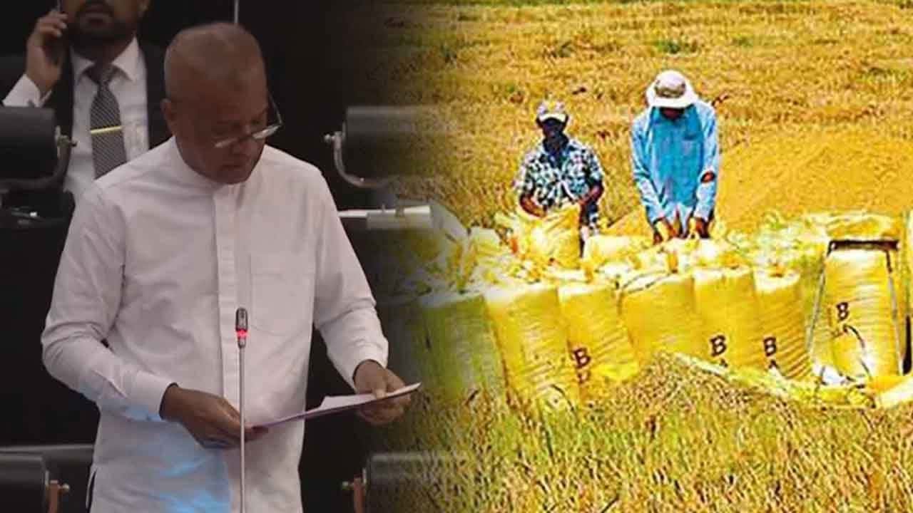Rs. 7.5 billion supplementary estimate for paddy procurement tabled in Parliament