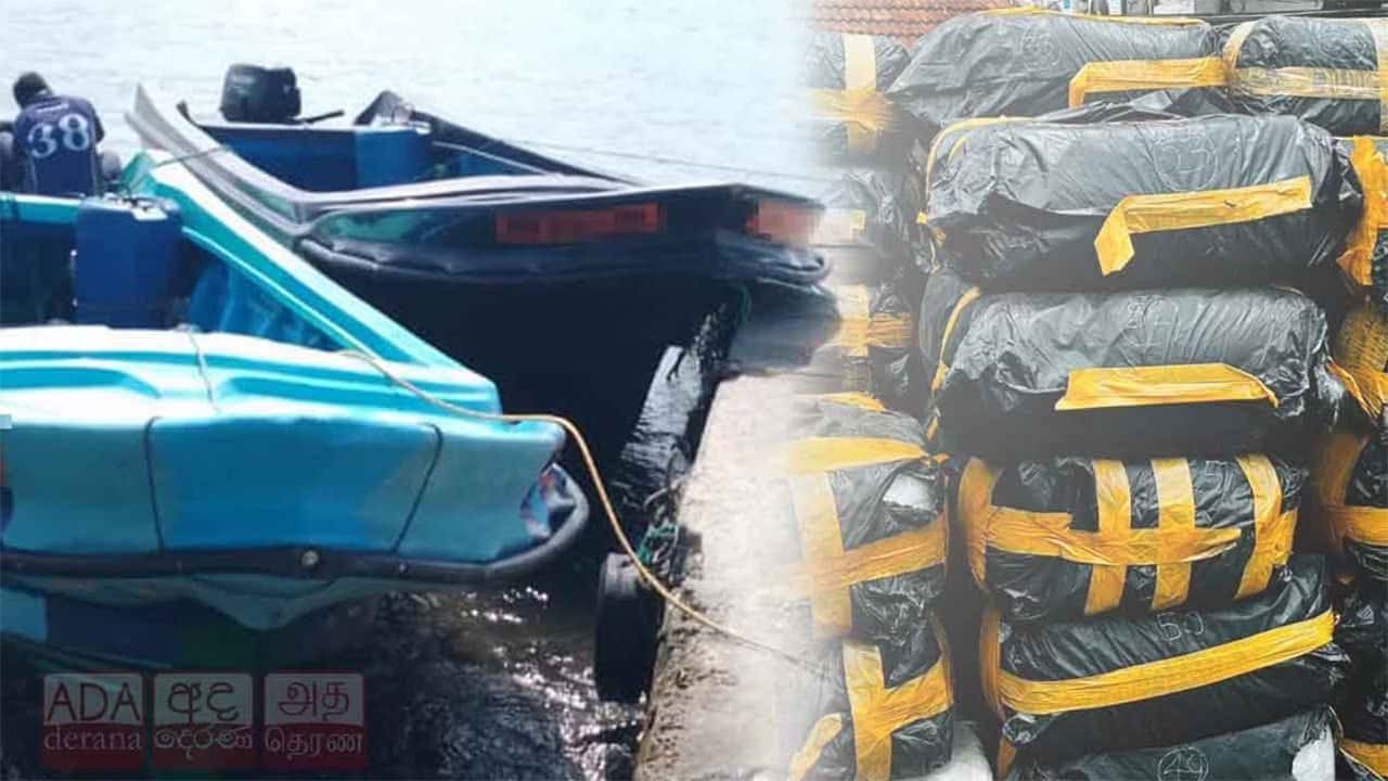 Navy seizes over 2.2 tonnes of smuggled Kendu leaves in Negombo