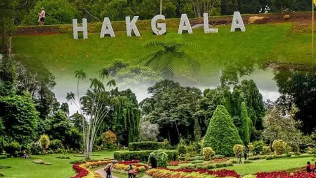 New conservation and tourism projects planned for Hakgala