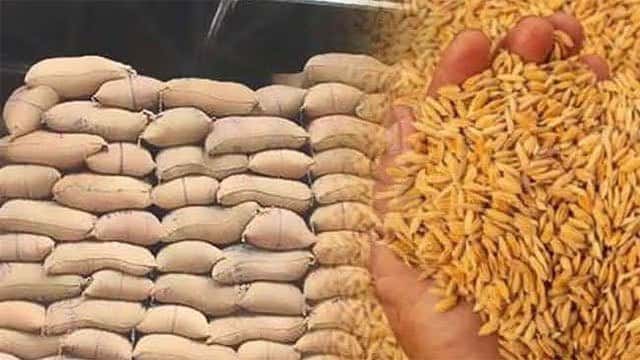 PMB purchases over 46,000MT of paddy