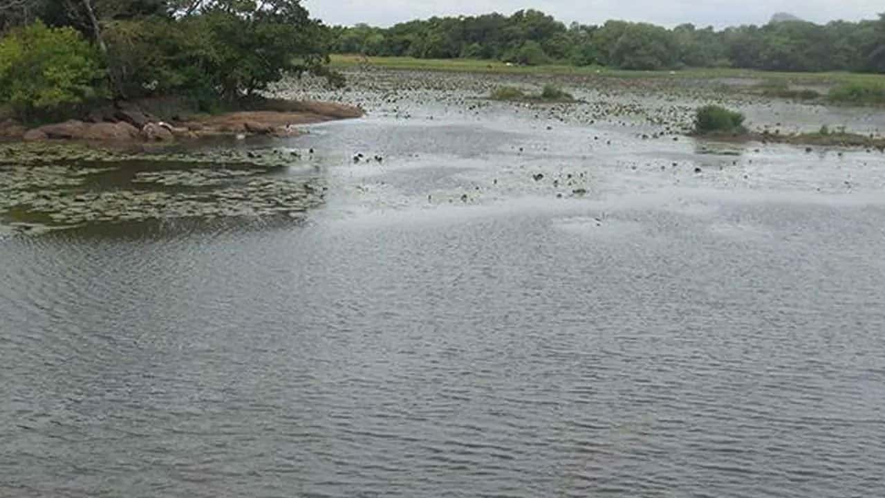 World Bank-funded programme to restore 296 minor irrigation tanks