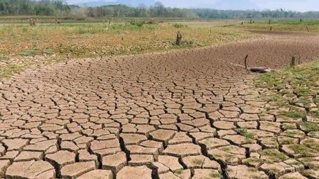 Nearly 8,000 acres of crops damaged due to dry weather in Sri Lanka - Minister