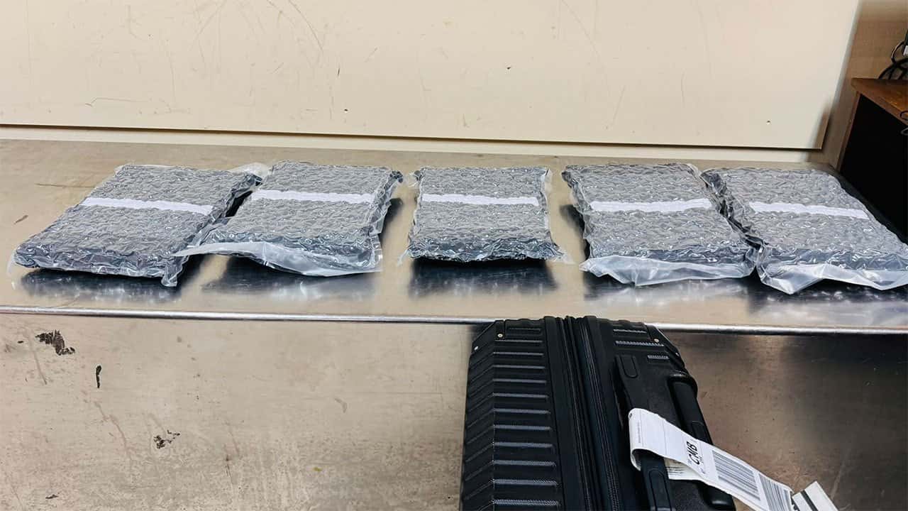 Two women arrested at BIA with ‘Kush’ worth over Rs. 53 million