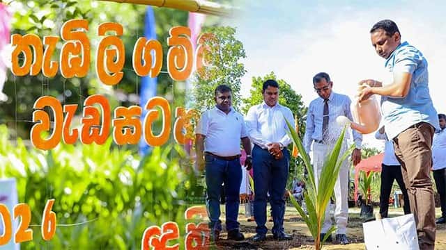 Second king coconut village established in Dehigama under national programme