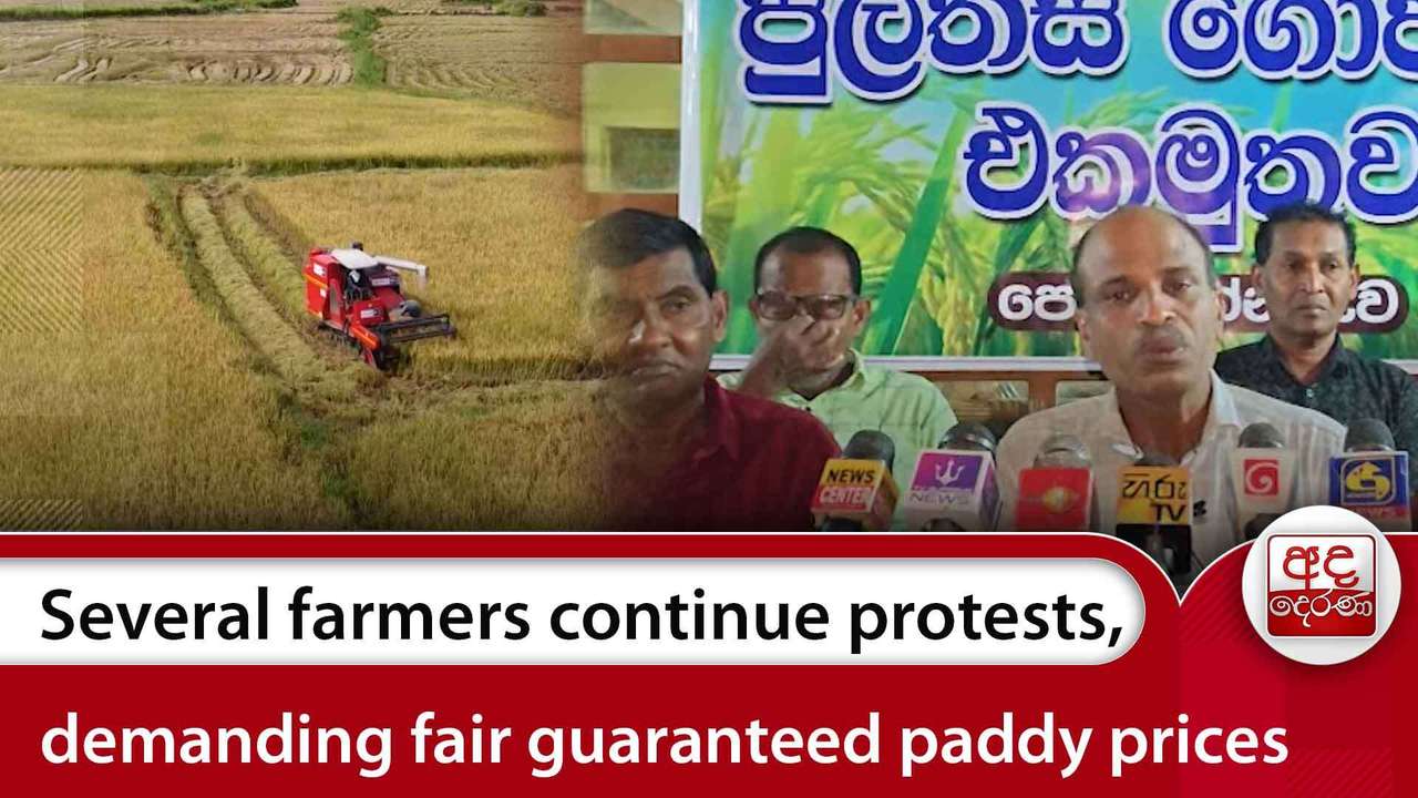 Several farmers continue protests, demanding fair guaranteed paddy prices