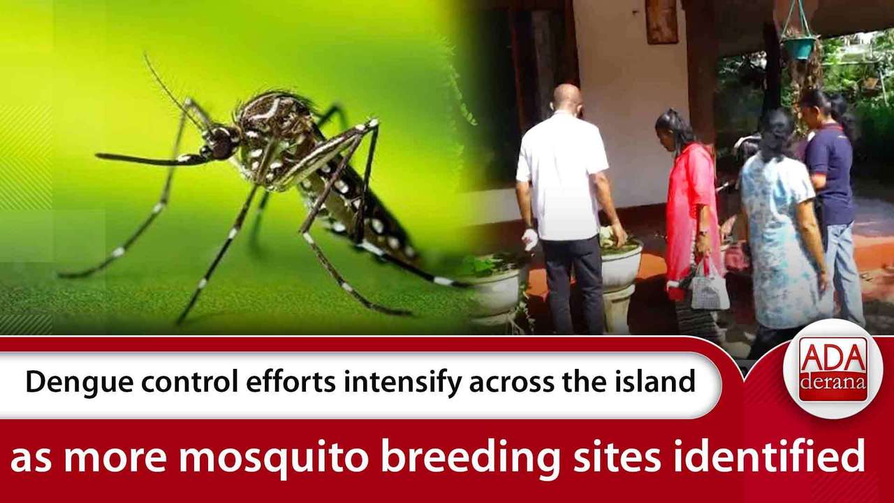 Dengue control efforts intensify across the island as more mosquito breeding sites identified