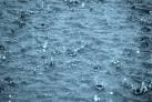 No chance of Acid rain, rumours false – Met. Dept.