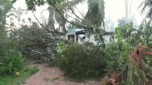 Over 300 houses destroyed as strong winds rip through Gampaha