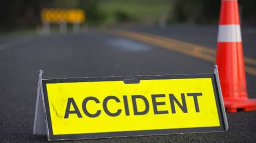 Constable dies after motorcycle collides with elephant