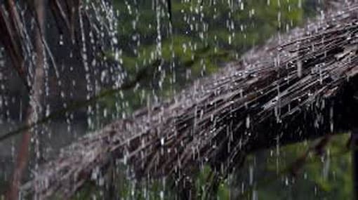 Showers expected in Eastern coast