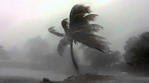 Windy condition to continue across the island