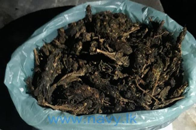Navy holds a person with Kerala Cannabis