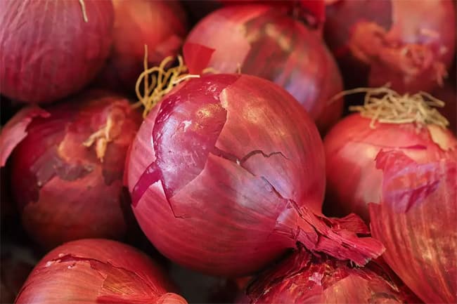 Maximum retail price for imported big onions declared