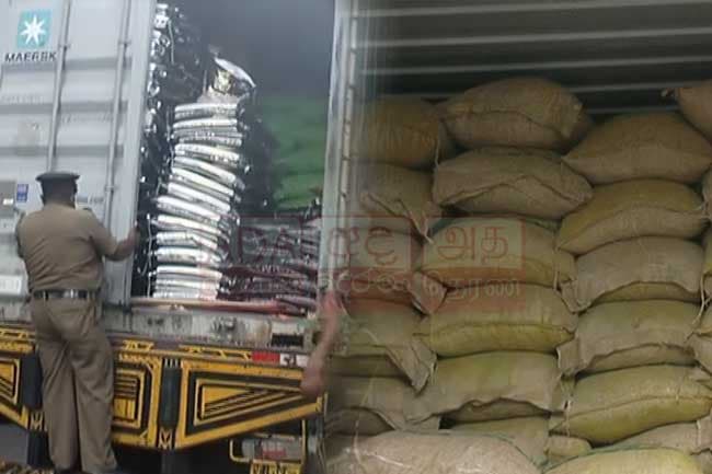 33,000 kg of turmeric illegally removed from customs seized; 10 suspects arrested
