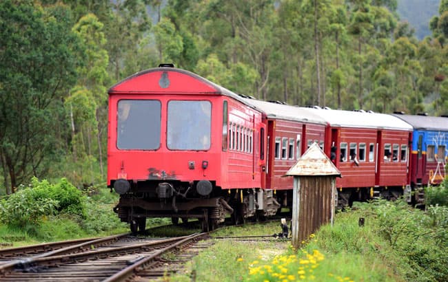 Several train services temporarily suspended