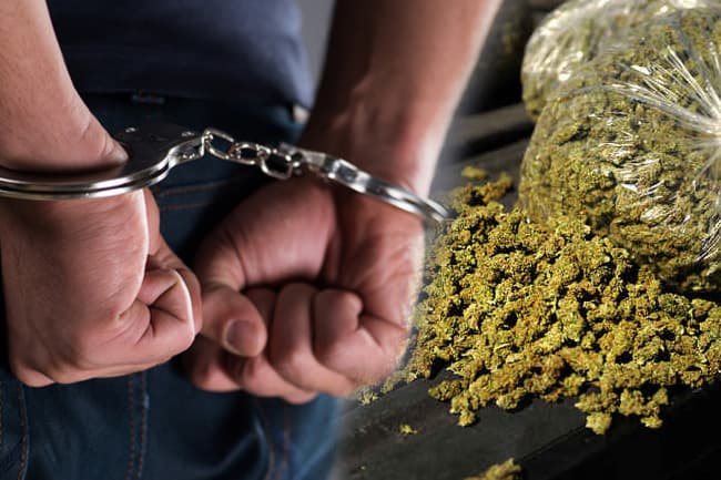 Man nabbed with more than 2kg of Kerala Cannabis