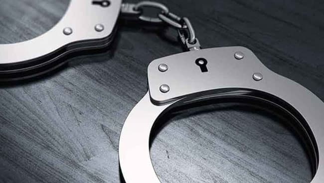 ‘Puppy’ arrested for transporting drugs