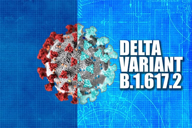 Delta variant responsible for 95.8% of COVID cases in Sri Lanka: USJ research