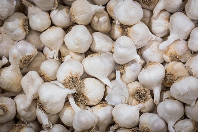 Four Sathosa officials interdicted over garlic scam