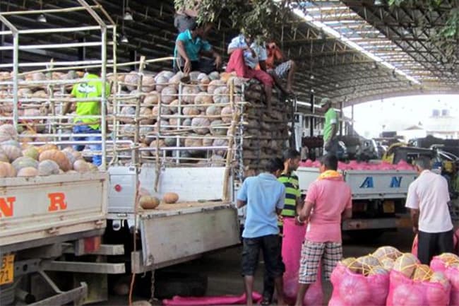 Fuel to be supplied to vehicles transporting goods to economic centres