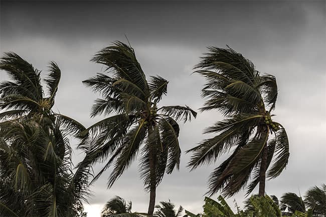 Showery and windy conditions likely to enhance during next few days