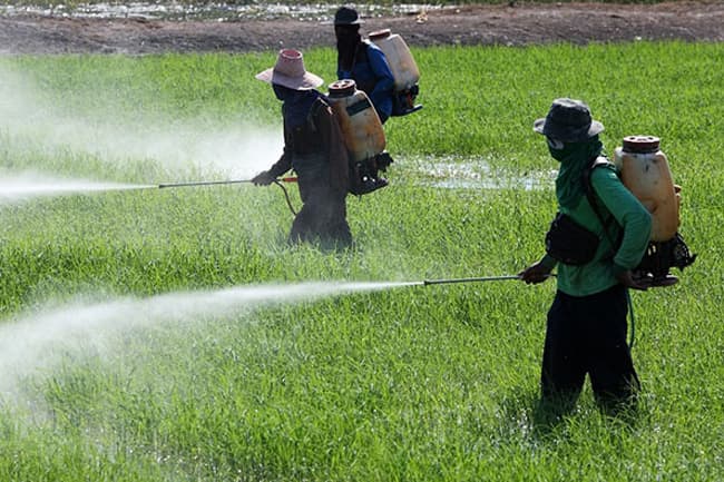 Sri Lanka lifts import ban on Glyphosate