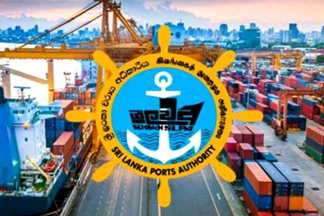 New chairman appointed to Ports Authority