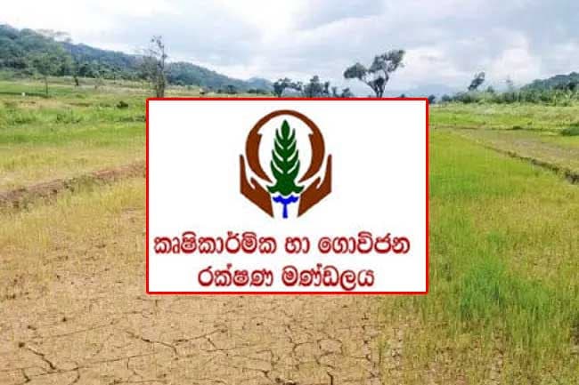 Agricultural Insurance Board disburses Rs. 1,669 mln to farmers