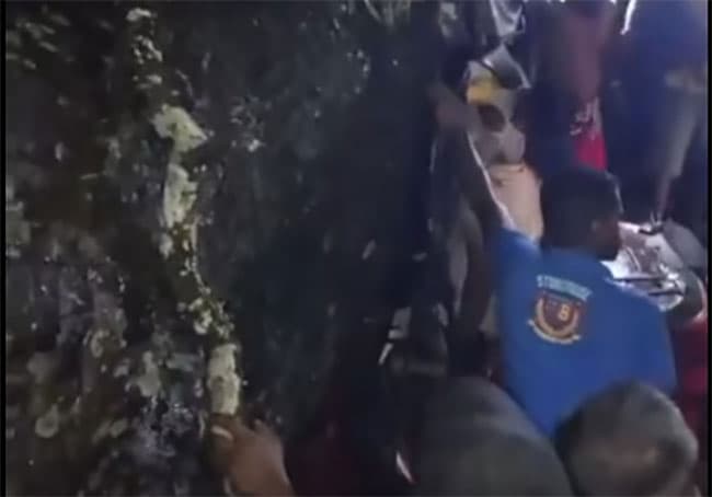Several trapped after tree falls on three-wheeler in Rambukkana