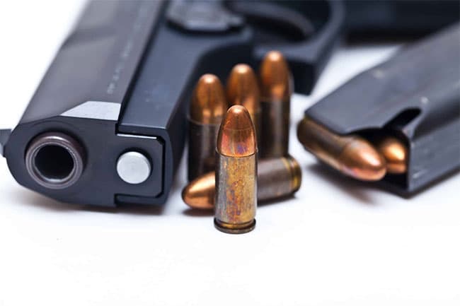 Ministry of Defense issues notice on firearms licenses