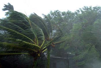 2000 displaced after mini cyclone hits Vavuniya