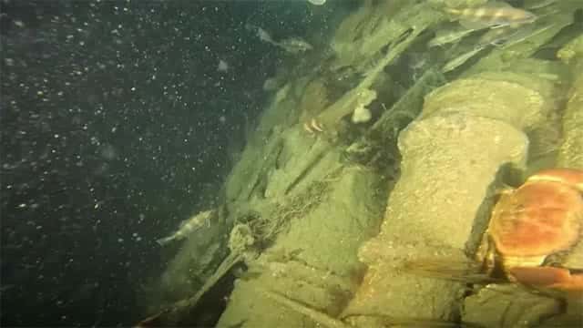 Missing German WW2 U-boat found 82 years on