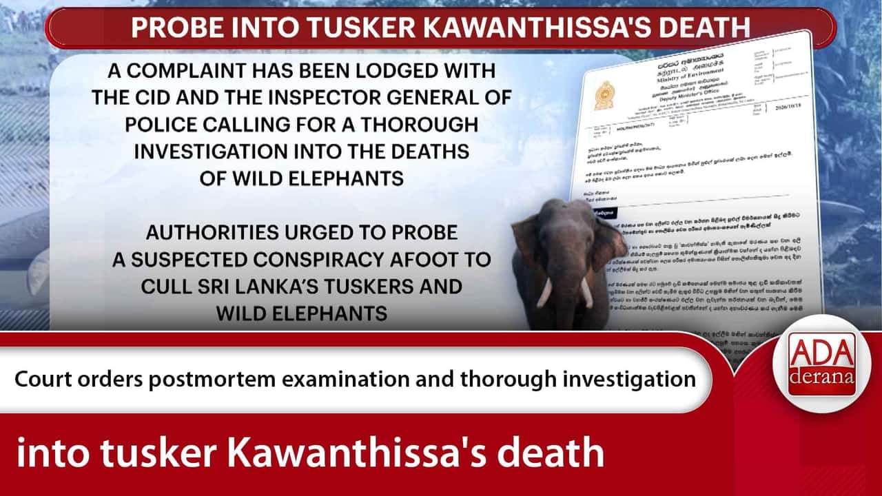Court orders postmortem examination and thorough investigation into tusker Kawanthissa's death