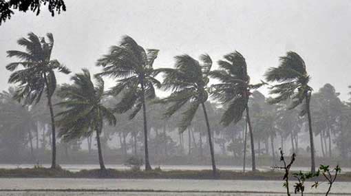 Showery and windy conditions to enhance until July 20