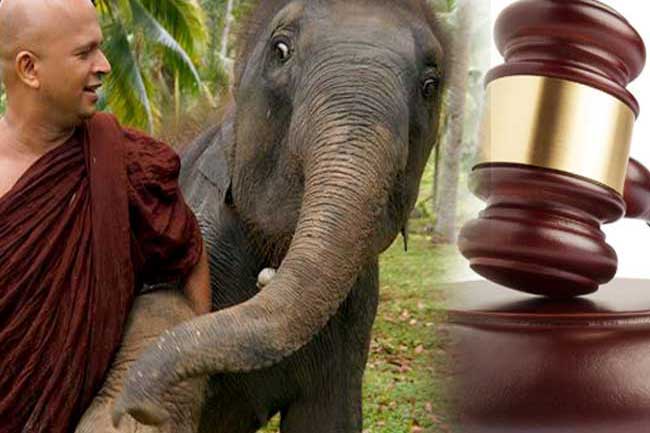 Defense statement of case against Dhammaloka Thero begins