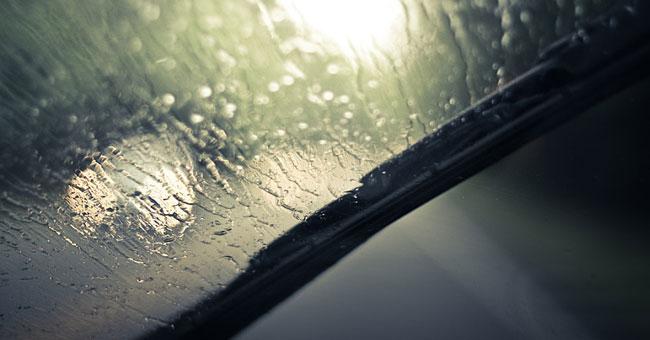 Motorist to use caution on Southern Expressway - RDA