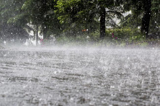 At least 8 killed in heavy rainfall; several houses damaged