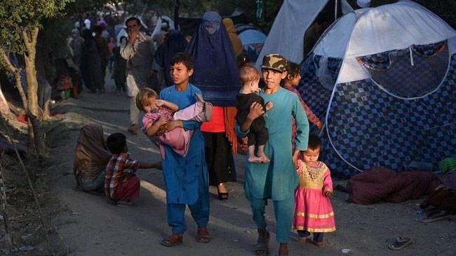 Afghanistan: Taliban take 11th provincial capital as Ghazni and Herat fall