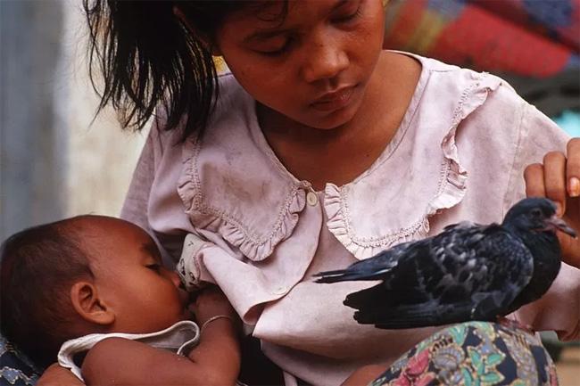 UN sees life expectancy, education and income fall